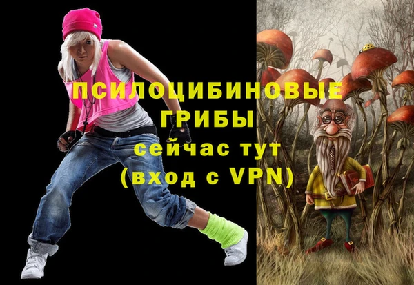 PSILOCYBIN Горнозаводск