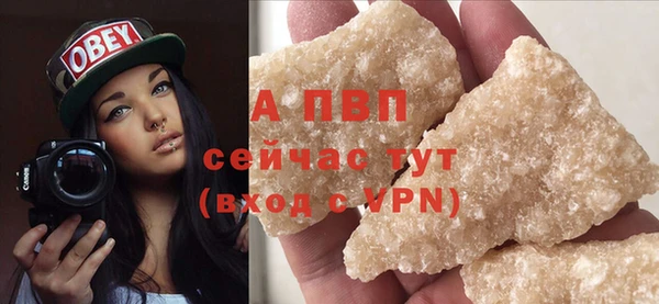 PSILOCYBIN Горнозаводск