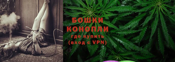 PSILOCYBIN Горнозаводск