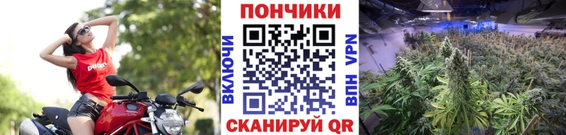Купить закладки  Советск  Бошки марихуана LSD WEED 